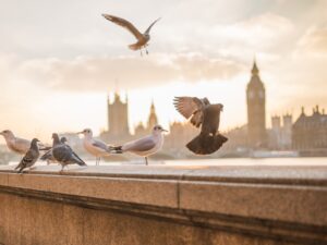 Izlet London