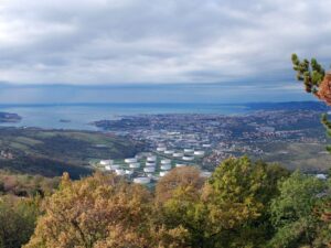 Izlet Tržaški zaliv in Rilkejeva pot