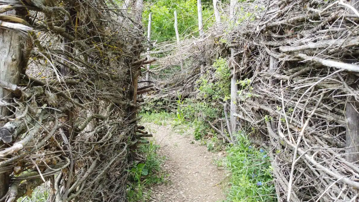 Šestdnevni izlet v Srbijo in Kosovo - slika 18