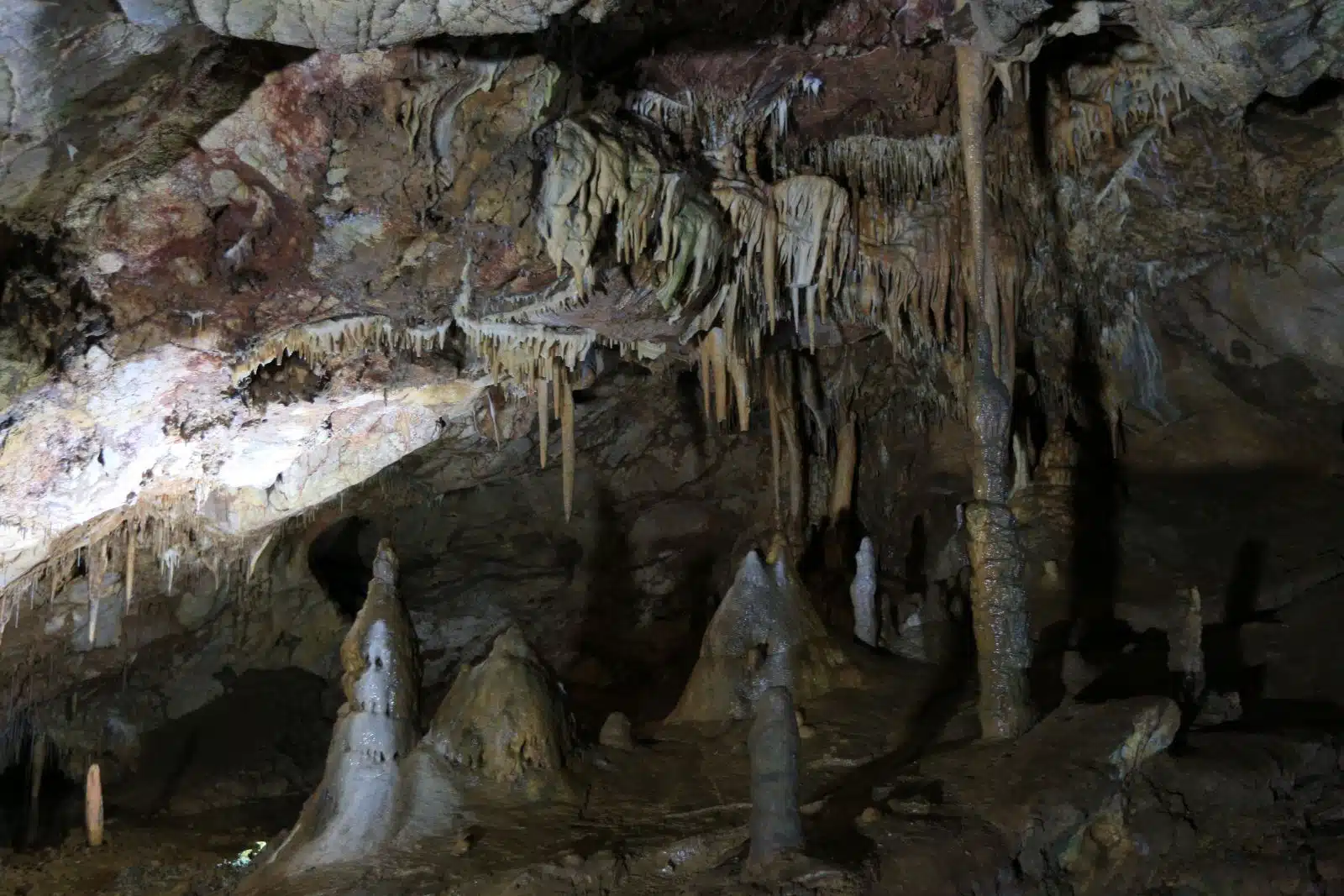 Šestdnevni izlet v Srbijo in Kosovo - slika 22